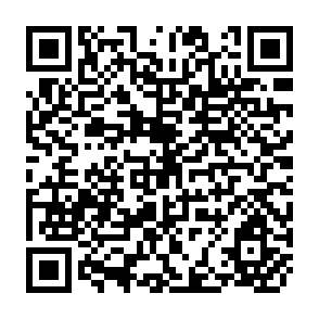 QR Code for Economic Accounting and Development Planning
