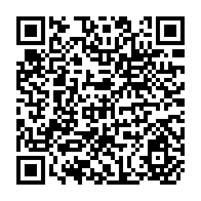 QR Code for Remote Sensing and Hydrologic Model for Performance Assessment in Sirsa Irrigation Circle,India