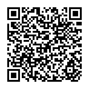 QR Code for Mechanically Reclaiming Abanddoned Saline Soils: A Numerical Evaluation