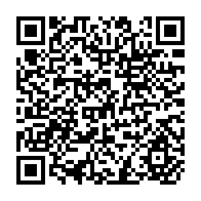 QR Code for Modeling Water Resources Management at the Basin Level: Review and Future Directions