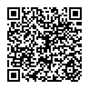 QR Code for Economy - Wide Models and Development Planning
