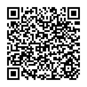 QR Code for The Cornerstone of Development Integrating Environmental,Social and Economic Policies