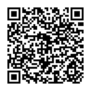 QR Code for Patterns of Development, 1950 - 1970