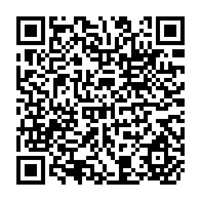QR Code for The New Economics