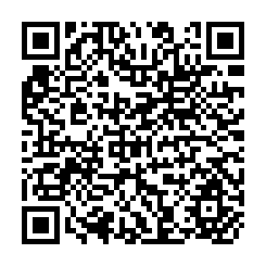 QR Code for Small is Beautiful Big is Subsidised: How our Taxes contribute to social and Environmental Breakdown