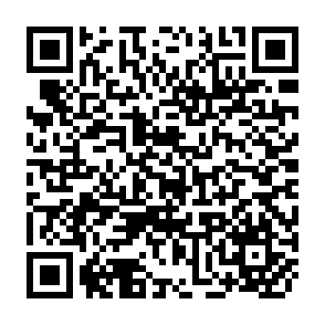 QR Code for The Conceptual foundations of descriptive Cataloging