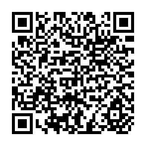 QR Code for The Process of Economic Growth