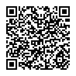 QR Code for The World Trade Organization and the Developing Countries