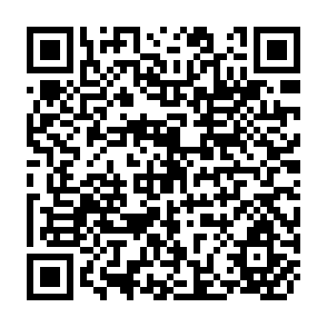 QR Code for Towards an Economic Platform for the South
