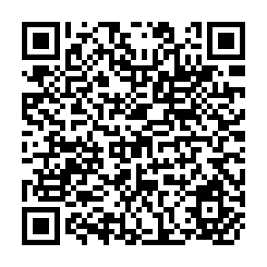 QR Code for Financing Development Issues for a South Agenda