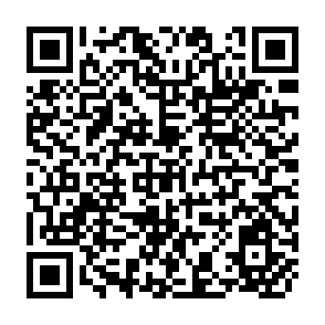QR Code for Elements for an Agenda of the South