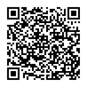 QR Code for The Asian Crisis: An Alternate View