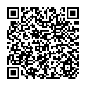 QR Code for The WTO Agreements: Deficiencies, Imbalances and Required Changes