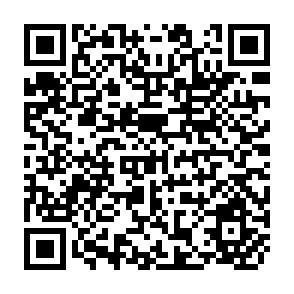QR Code for Agricultural strategies, rural-urban interactions and the expansion of income opportunities