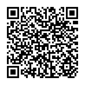 QR Code for Direct Foreign Investment and Export: The Case of Italy and Its Small Enterprises