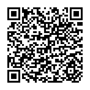 QR Code for Cutting Trees and the Dynamics of Social Change