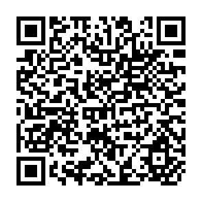 QR Code for Agrarian Transition in Former Soviet Central Asia:A Comparative Study of Kazakhstan, Kyrgyzstan and Uzbekistan