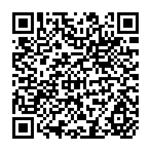QR Code for Organizations in Development: The Changing Nature of Service Provision in the Philippines