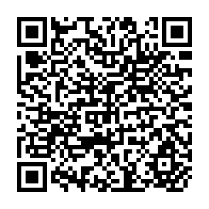 QR Code for The pricing of agricultural capital inputs in Pakistan