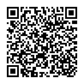 QR Code for New social movements in the south