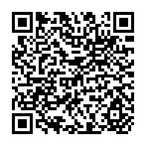 QR Code for The Political Mobilization of Peasants
