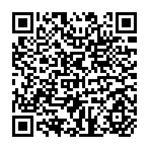 QR Code for The Political Mobilization of Peasants
