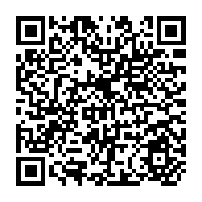 QR Code for The Political Mobilization of Peasants