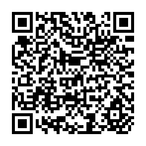 QR Code for Development Economics: A New Paradigm