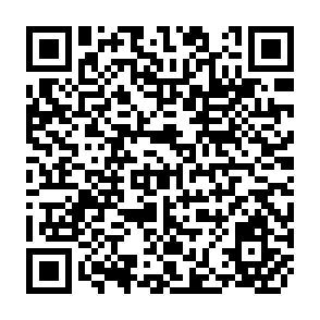 QR Code for Poverty, Inequality and Prices in Rural India
