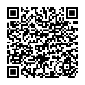 QR Code for Social Forestry