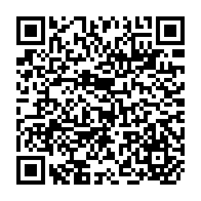 QR Code for An introduction to AACR 2