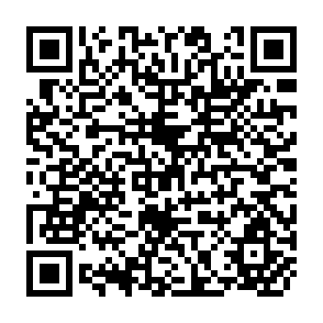 QR Code for The Theory of Peasant Economy