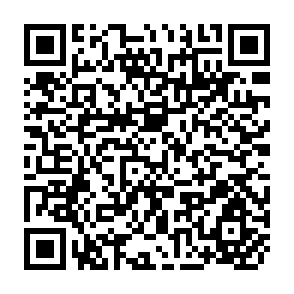 QR Code for Agricultural Productivity in Asia: a Comparative Analysis