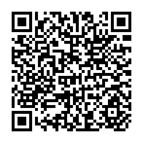QR Code for A Study of The Informal Sector In Bangladesh