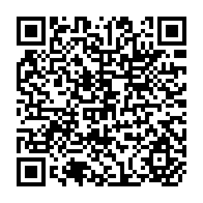 QR Code for Precautionary Saving, Credit Constraints, and Irreversible Investment: Theoey and Evidence From Semiarid India