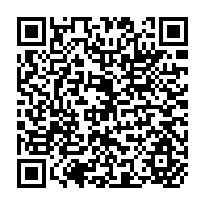 QR Code for Structural Adjustment Policies, Income Distribution and Poverty: A Review of the Jamaican Experience