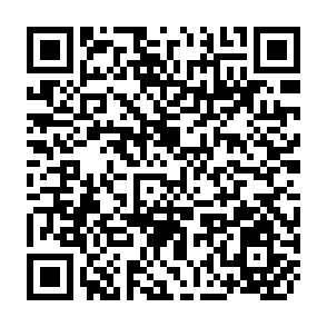 QR Code for Policy Reform and Technological Change in Egyptain Rice Production : A Frontier Production Function Approach
