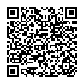 QR Code for Rural Infrastructure and Agricultural Develolpmentin Southern Africa:A Centre-periphery perspective