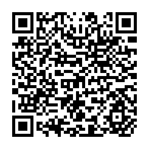 QR Code for Policy Issues in Agroforestry: Technology Adoption and Regional Integration in the Western Vrazilian Amazon