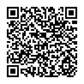 QR Code for Financing Agricultural R&D in Rich Countries:What's Happening and Why