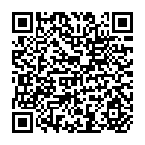 QR Code for Africa's Changing Agricultural Development Strategies:Past and Present Paradigms As a GUIDE TO THE Future