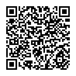 QR Code for Institutional Change and Shared Management of water Resourrces in Large Canal Systems: Results of an Action Research Program in Pakistan