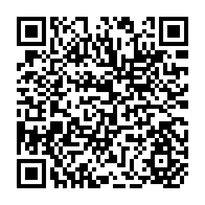 QR Code for The underbelly of the tiger: Gender and the demystification of the asian miracle