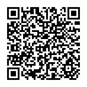 QR Code for Problems and Perspectives of Public Administration Reform: The Case of The Executive Branch of the Government of Mongolia