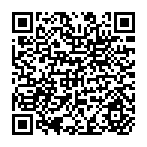 QR Code for The Bibingka Strategy to land Reformand Implementation:Autonomous Peasant mobilizations and State Reformists in the Philippines