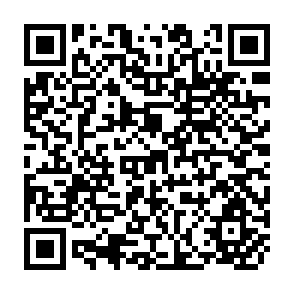 QR Code for Thailand's Financial Crisis of 1997 : A Survey and Critique of Dominant Explanations