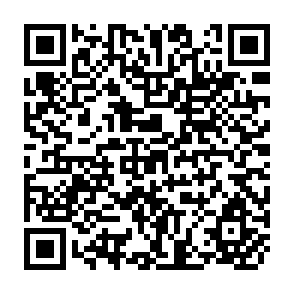 QR Code for The Mystical World of Indonesia : Culture & Economic Development in Conflict