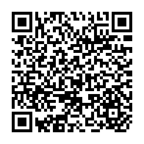 QR Code for Rethinking gender planing : A critical discussion of the use of the concept of gender
