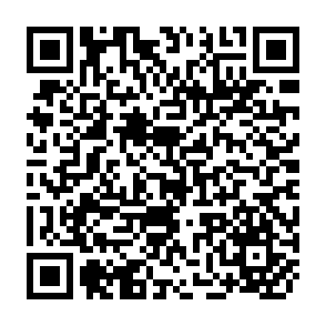 QR Code for Gender relations and reproductive decision -making in the context of rural China in the post-reform period