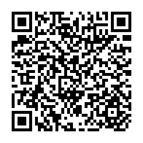 QR Code for The Riddle of Community Development: Factors Influencing Organisation, Participation and Self-Management in 29 African and Latin American Communities